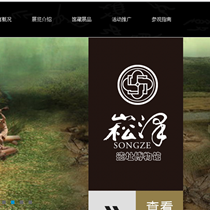 上海崧泽遗址博物馆官方网站
